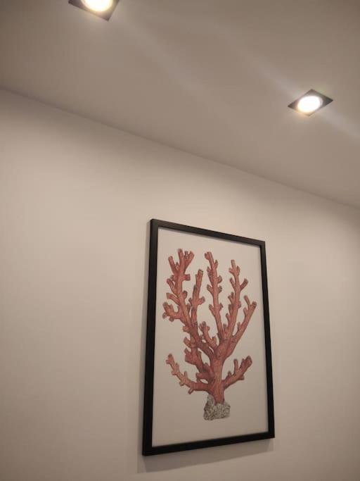 Dimora Cutelli Apartamento Catânia Exterior foto